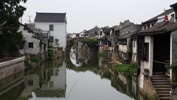 植物大战僵尸10