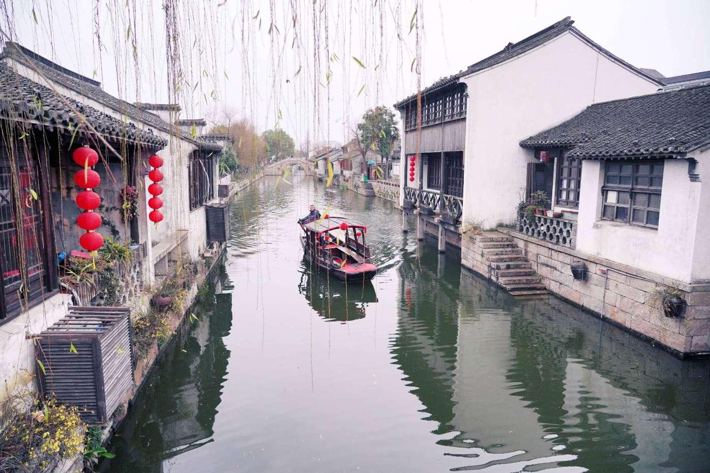 奔跑的兔子